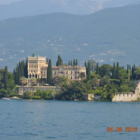 The Swan