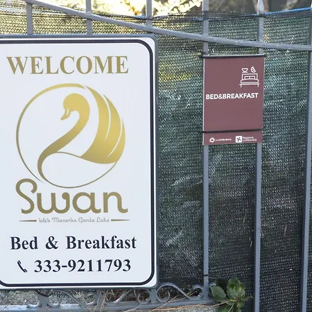 The Swan
