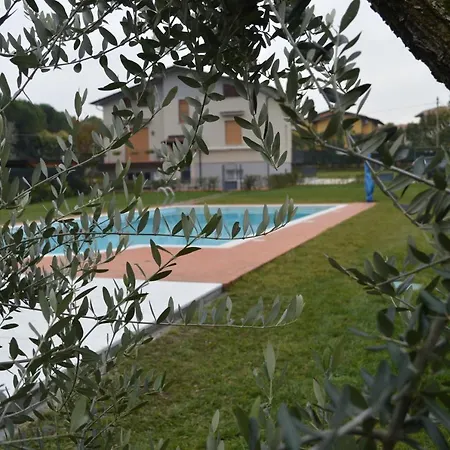 The Swan Manerba del Garda