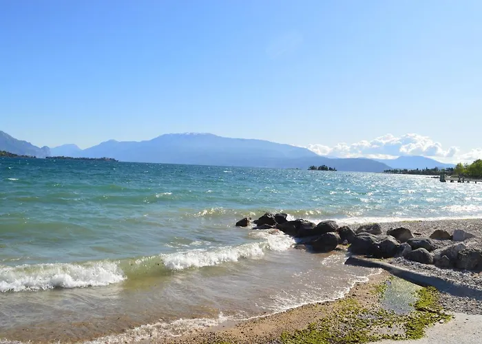 The Swan Nocleg ze śniadaniem