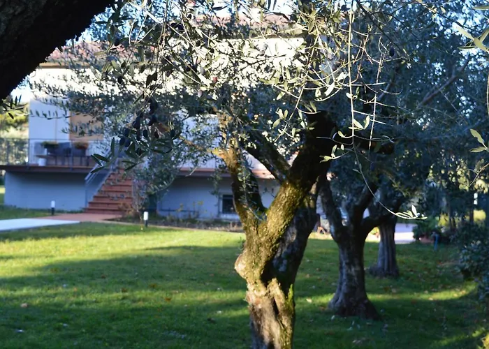 The Swan Manerba del Garda